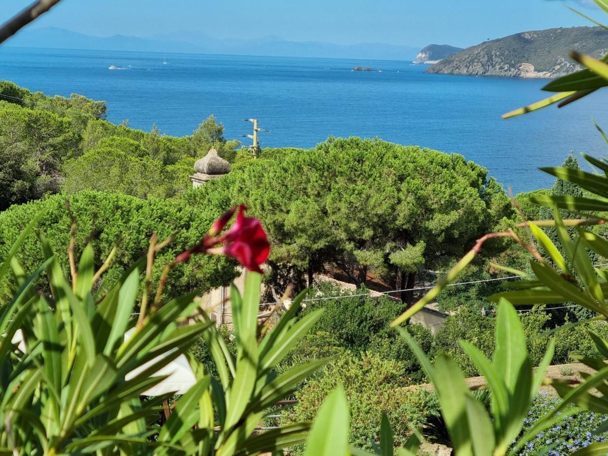 Appartamenti La Conchiglia Capoliveri  Dış mekan fotoğraf